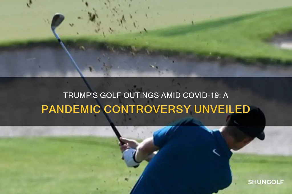 did trump golf during pandemic