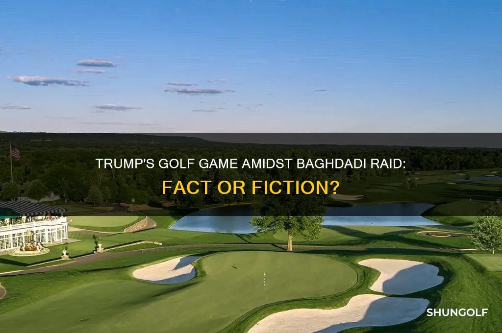 did trump golf during raid on baghadi