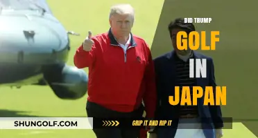 Trump's Japan Visit: Golf Diplomacy or Leisure Amid Official Duties?