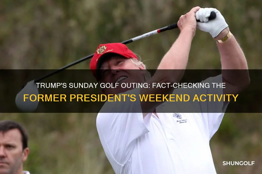 did trump golf sunday