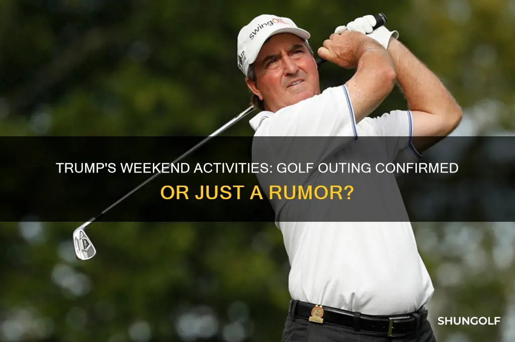 did trump pla5 golf this weekend