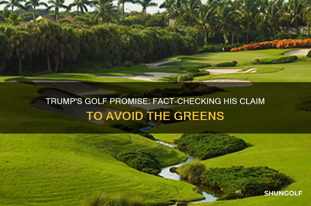 did trump say he wouldn