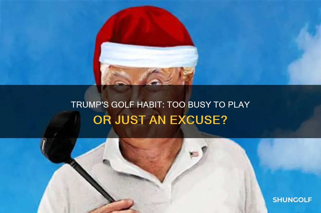 did trump say he