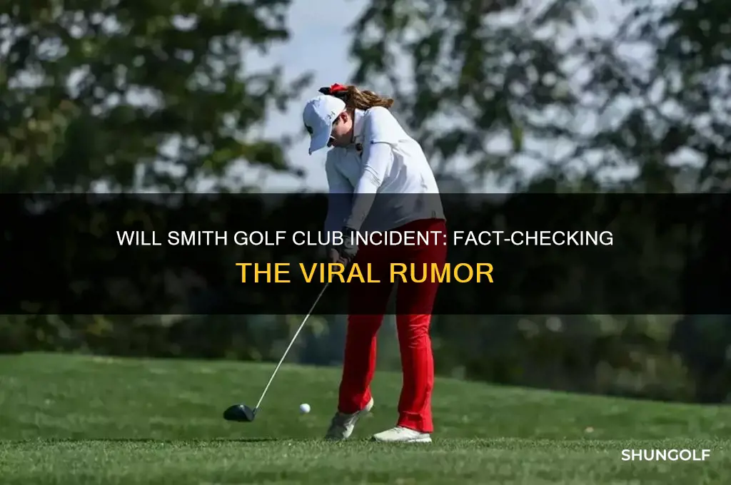 did will smith get hit with a golf club