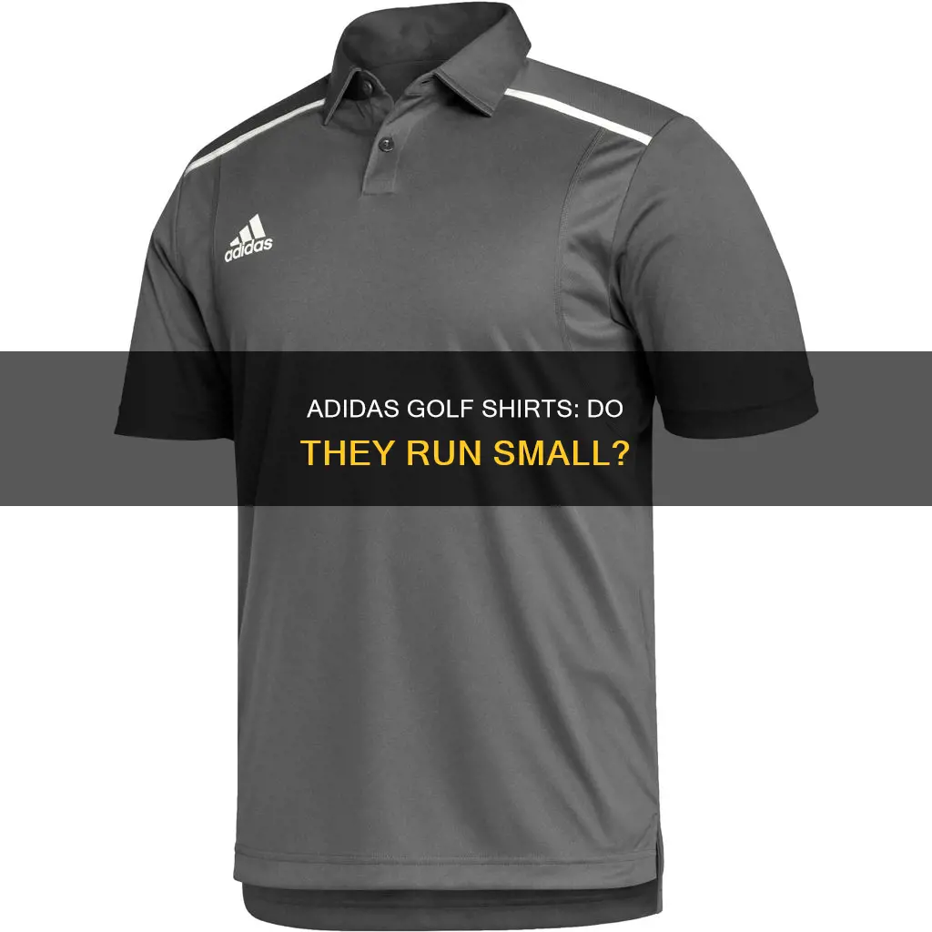 do adidas golf shirts run small