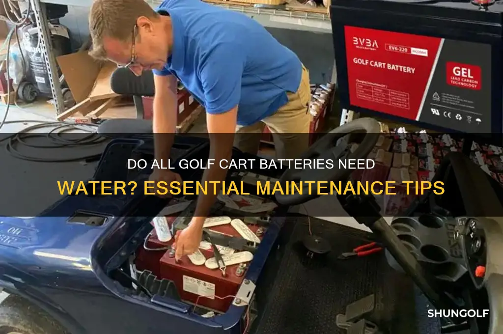 do all golf cart batteries need water