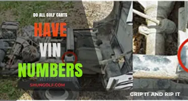 Do All Golf Carts Have VIN Numbers? A Comprehensive Guide