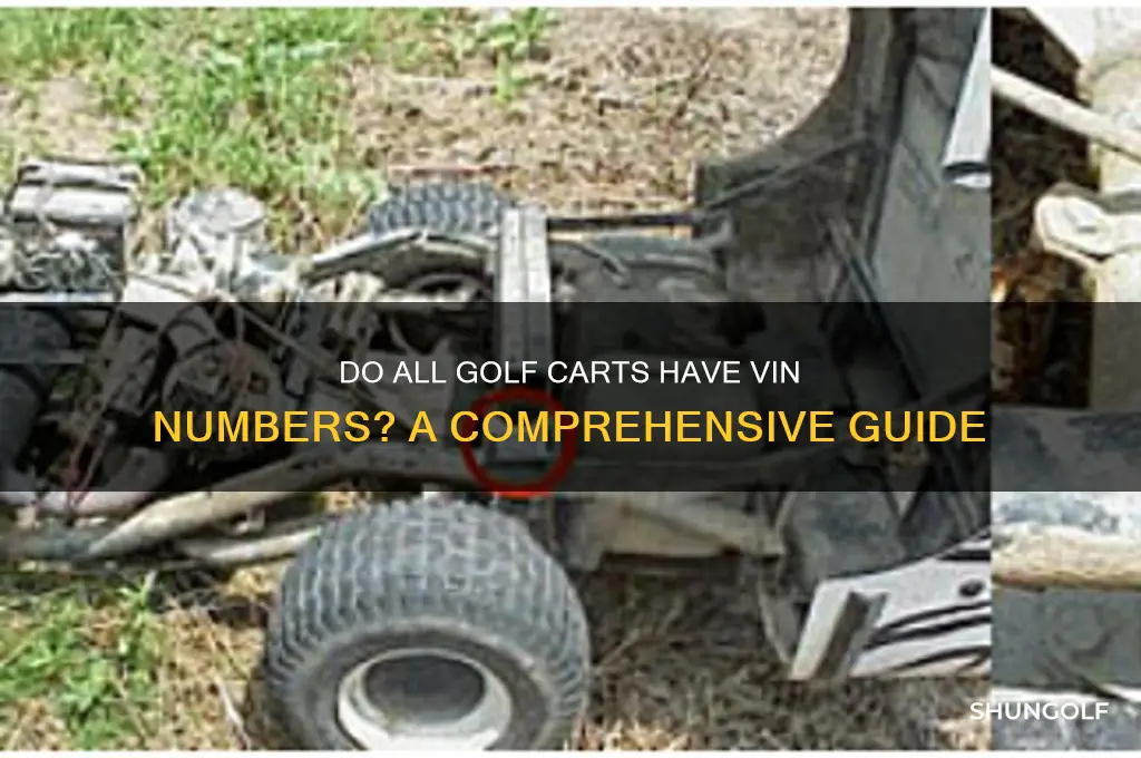 do all golf carts have vin numbers