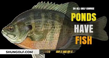 Do All Golf Course Ponds Have Fish? Exploring the Truth