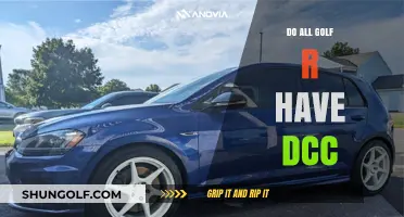 Golf R: DCC Standard or Optional?