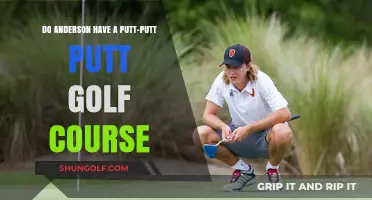 Does Anderson Offer a Putt-Putt Golf Course? Find Out Here