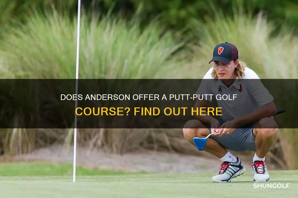 do anderson have a putt-putt putt golf course