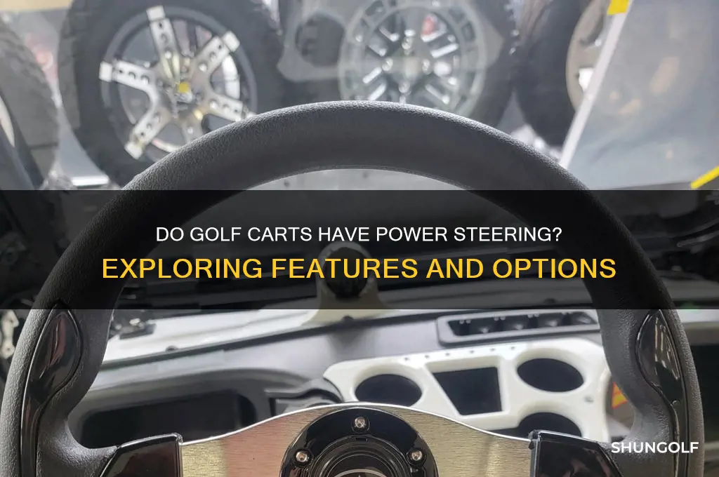 do any golf carts have power steering