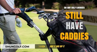 Are Caddies Still a Fixture on Modern Golf Courses?