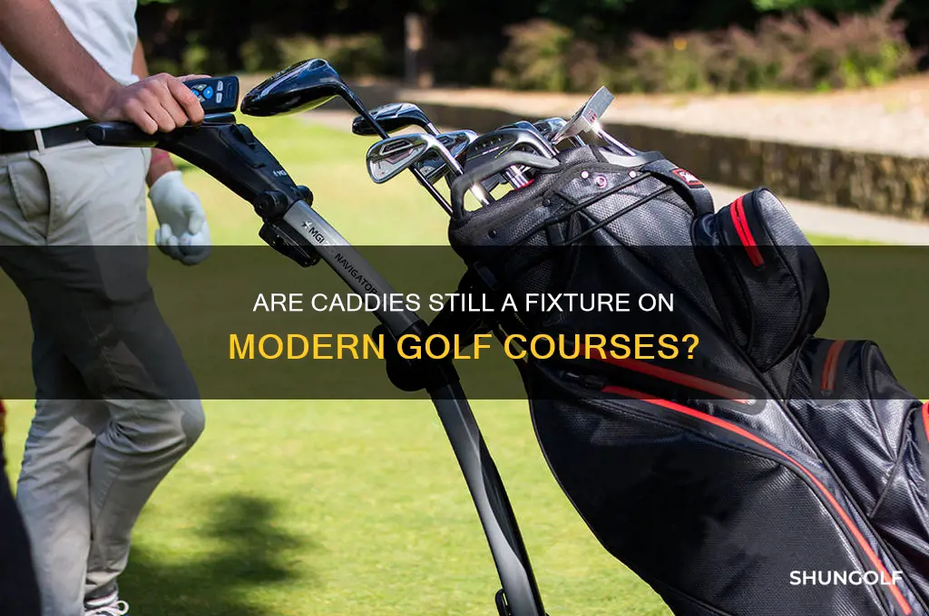 do any golf courses still have caddies