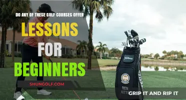Beginner Golf Lessons: Which Courses Offer Training for New Players?