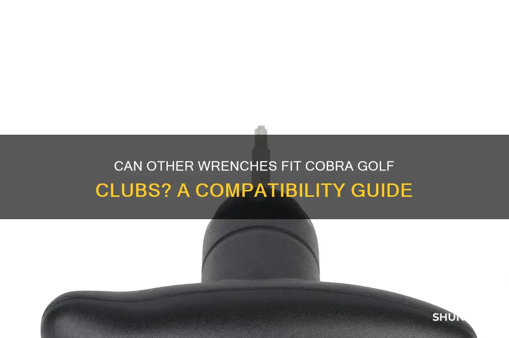 do any other wrenches fit cobra golf clubs
