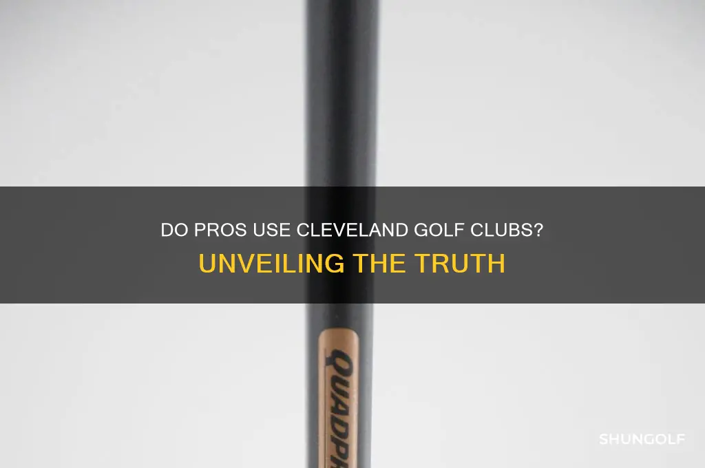 do any pros use cleveland golf clubs