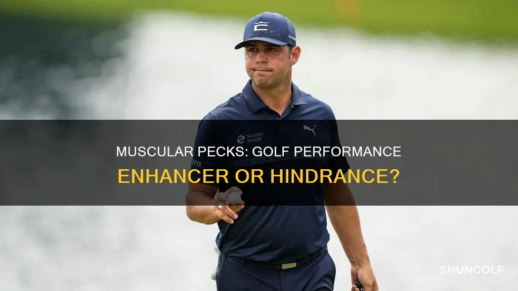do big muscle pecks effect golf