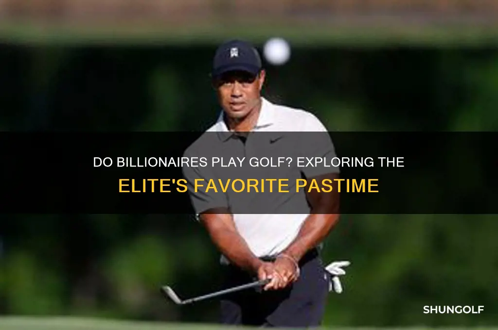 do billionaires play golf