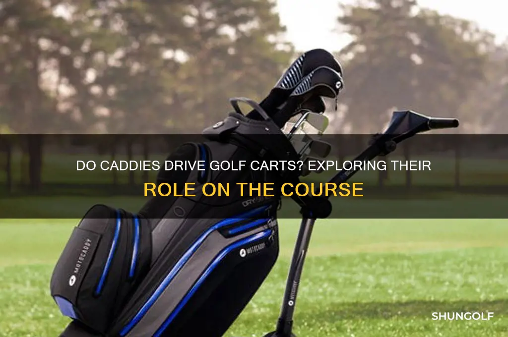 do caddies drive golf carts