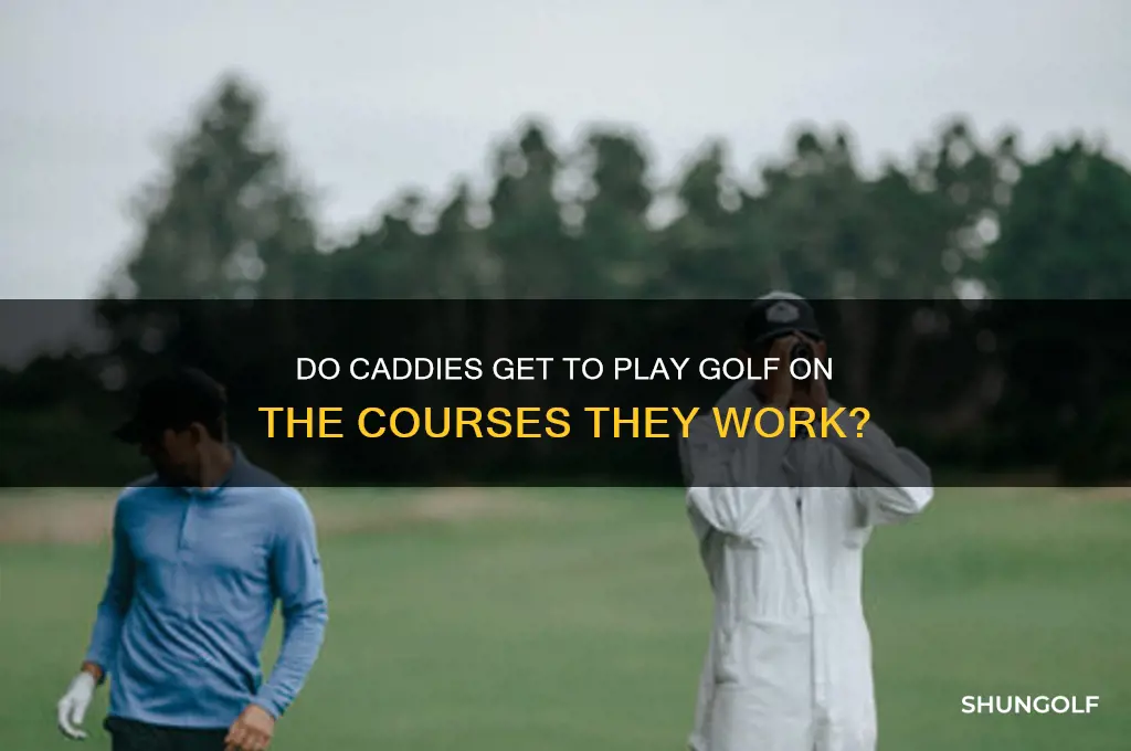 do caddies get to play golf on the courses