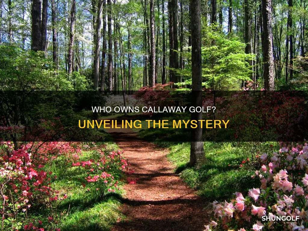 do callaways own callaway golf equipment