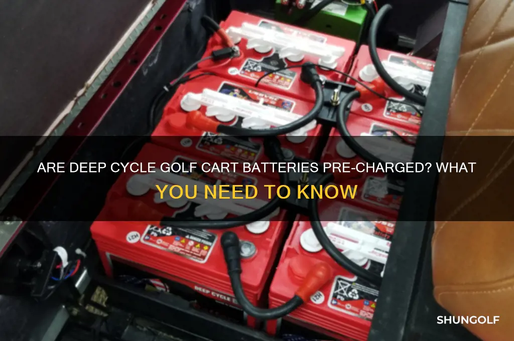 do deep cycle golf cart batteries come charged