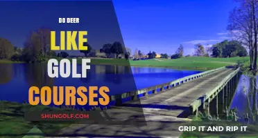 Why Deer Are Drawn to Golf Courses: Uncovering the Attraction