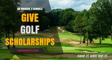 Division 3 Golf Scholarships: Opportunities and Limitations Explained