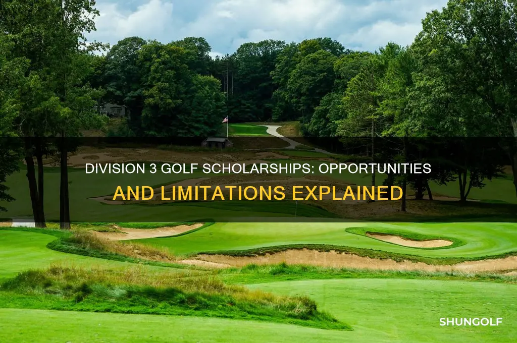 do division 3 schools give golf scholarships