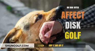 Dog Bites: Impact on Disc Golf Performance and Safety