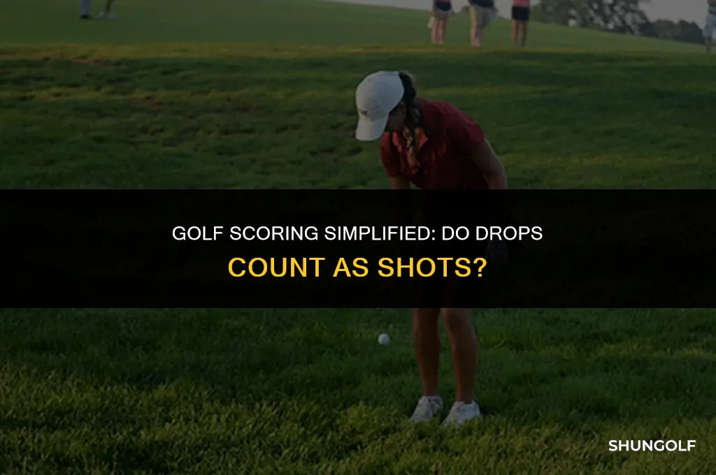 do drops count as a shot in golf