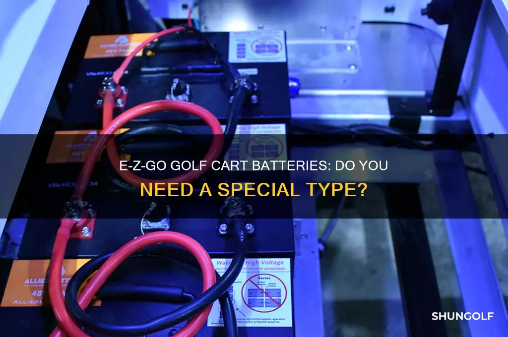do e-z-go golf carts take special batteries