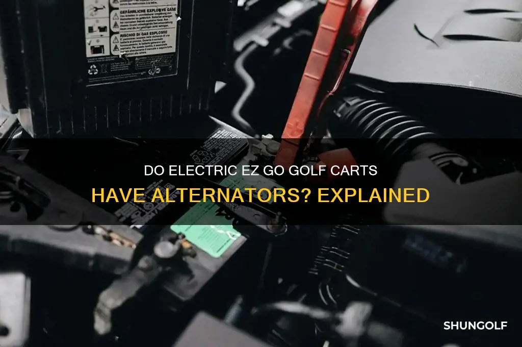 do electric ez go golf carts have alternators