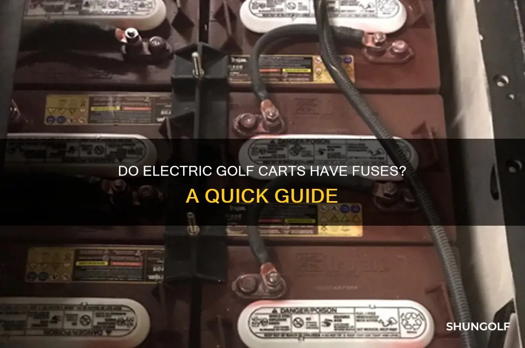 do electric golf carts have fuses