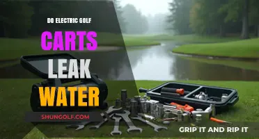 Electric Golf Carts and Water Leaks: What You Need to Know