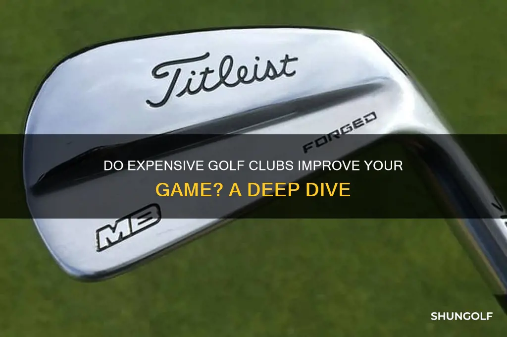 do expensive golf clubs matter