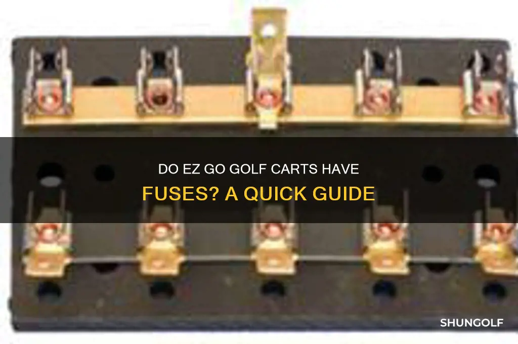 do ez go golf carts have fuses