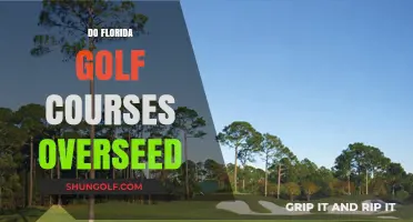 Florida Golf Courses: Overseeding Practices and Seasonal Maintenance Explained