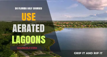 Do Florida Golf Courses Use Aerated Lagoons? Exploring Water Management Practices