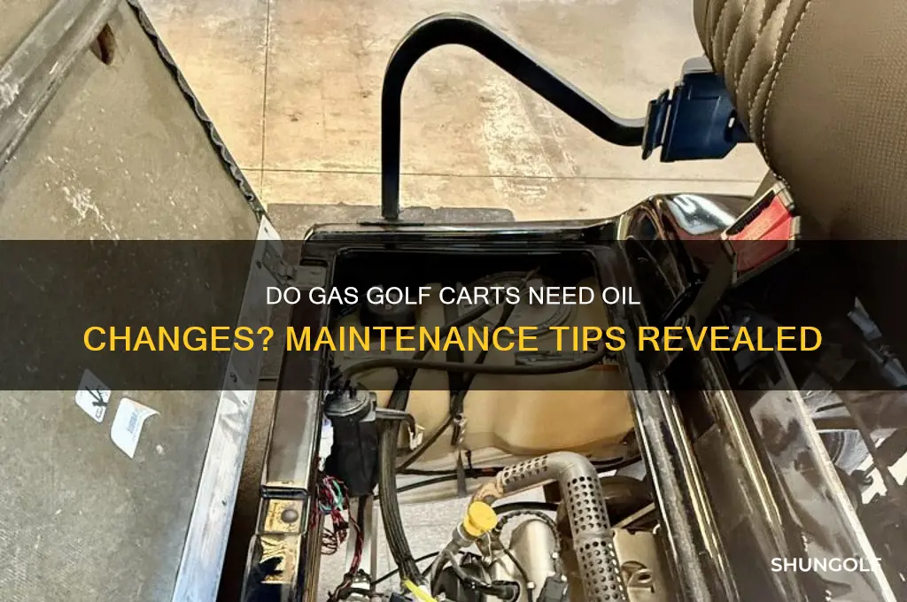 do gas golf carts use oil that must be changed