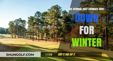 Do Georgia Golf Courses Close During Winter? What Players Need to Know