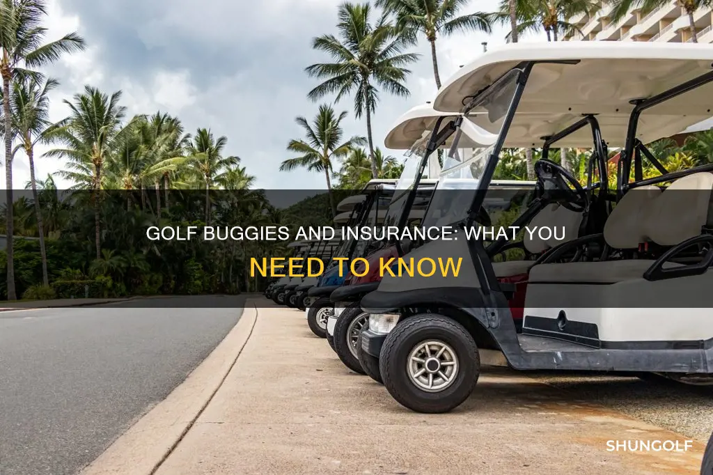 do golf buggies need insurance