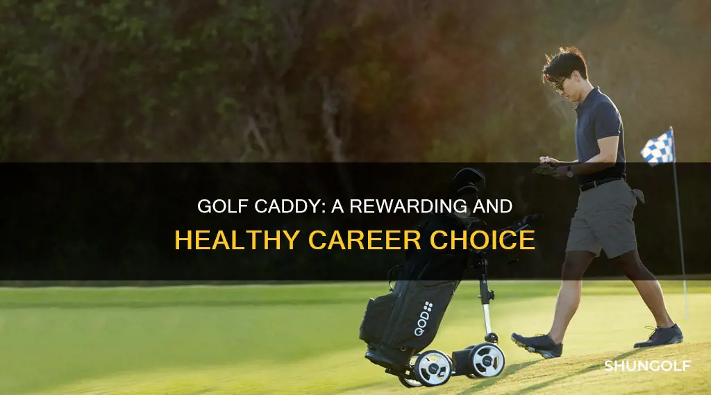 do golf caddy
