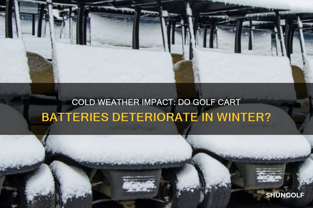 do golf cart batteries go bad in cold weather