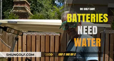 Do Golf Cart Batteries Need Water? Essential Maintenance Tips Revealed