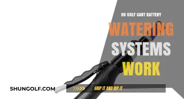 Golf Cart Battery Watering Systems: Effective Maintenance or Overhyped Solution?