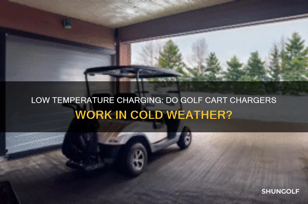 do golf cart chargers work when temp is low