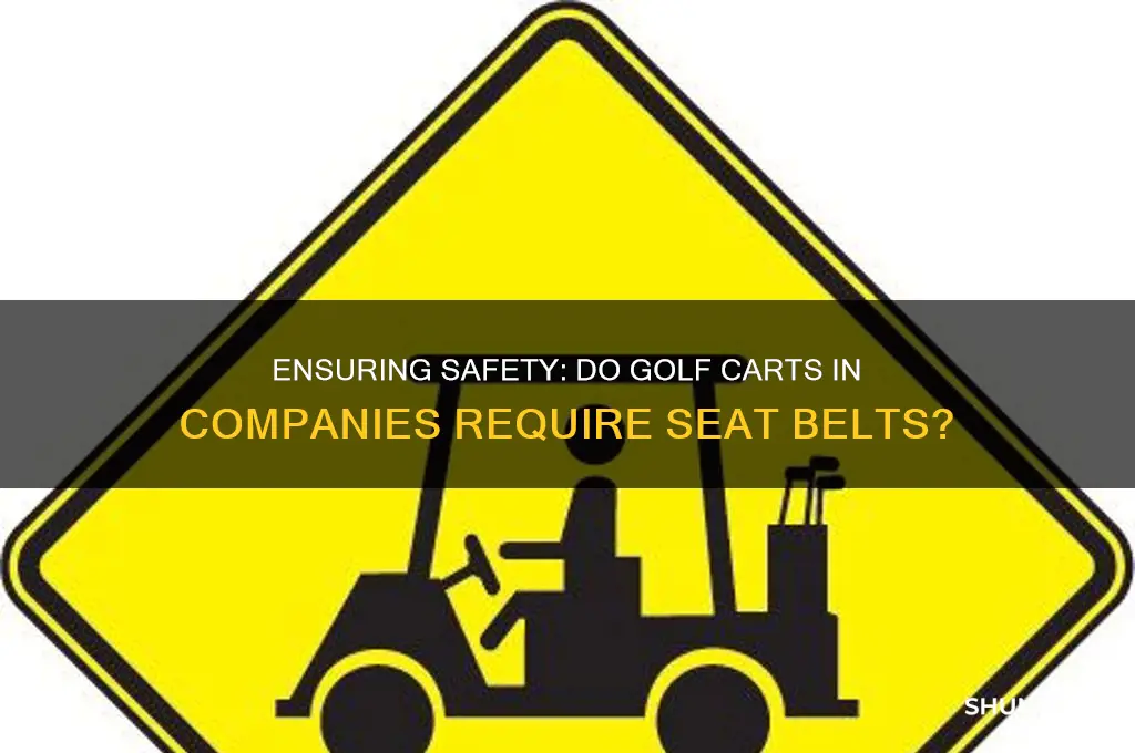 do golf cart need seat belt in a company